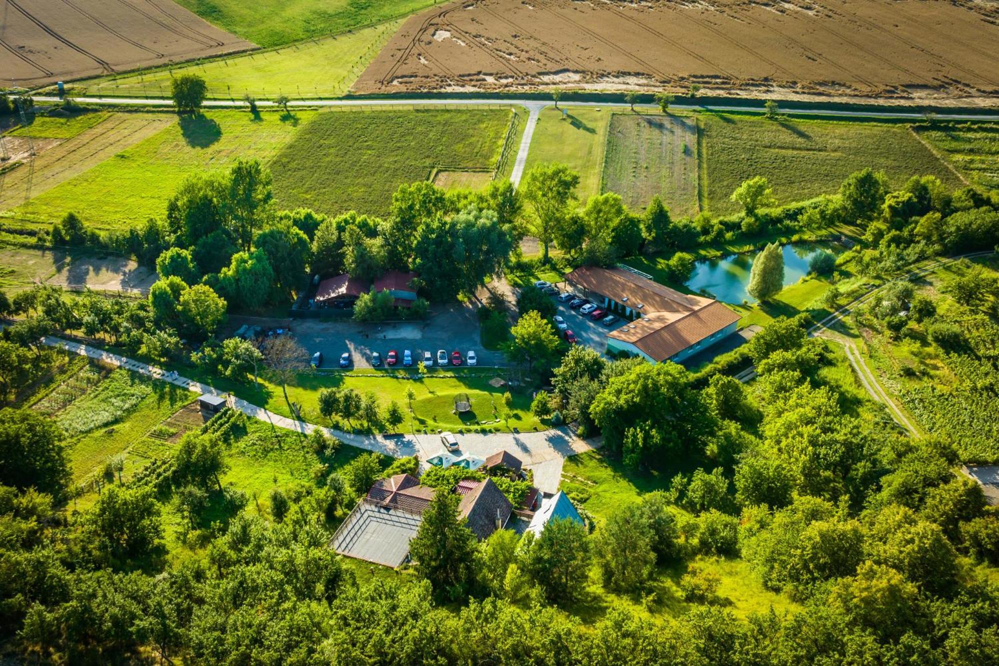 Vinny Sklep Krysa Kostelec  Exterior foto